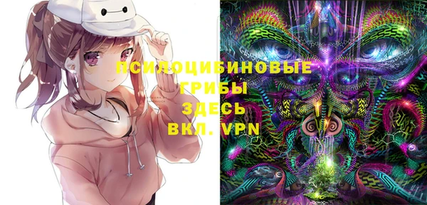 круглые Алзамай