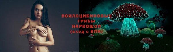 мяу мяу мука Алексин