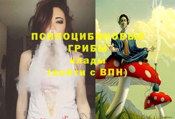 мяу мяу мука Алексин