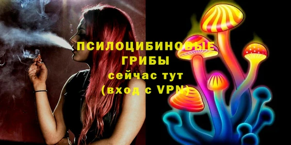 круглые Алзамай