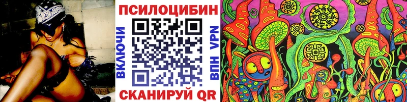 Псилоцибиновые грибы Psilocybe  продажа наркотиков  Медынь 