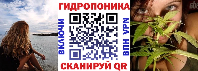 Конопля OG Kush  Медынь 